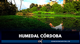 Timeline: HUMEDAL CORDOBA