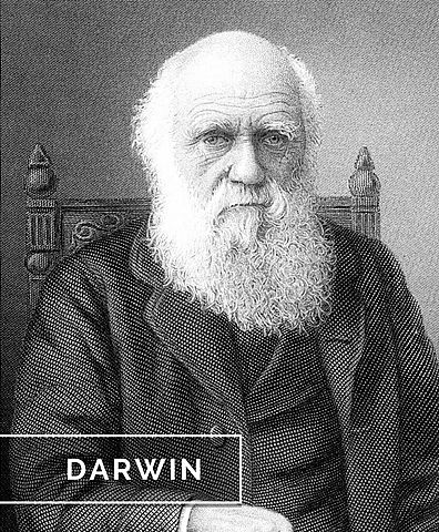 Darwin