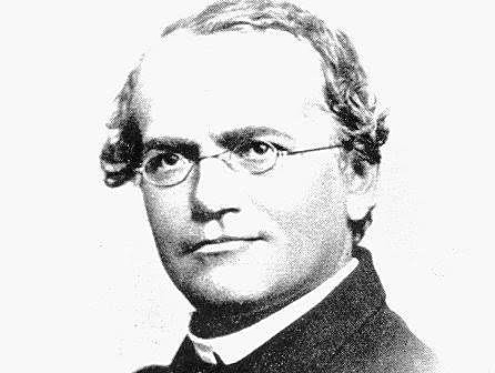 Mendel (1865)