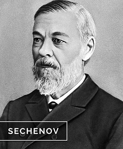 Sechenov