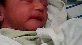 Timeline: DESARROLLO PRENATAL, María Raquel Martínez C. 200419601