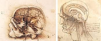 Inicio de estudios del cerebro
