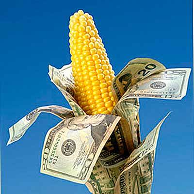 Subsidio a la producción