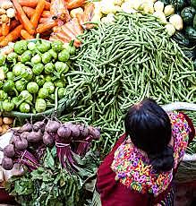 Subsidio al consumo de productos del campo