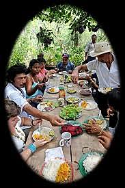 Programa de Alimentación y Nutrición Familiar