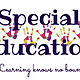 Special education