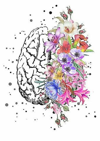 Dra. María Teresa Lartigue Becerra (México y Latinoamérica)