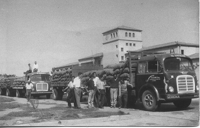 El concepto de la logística en prueba.