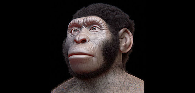 Desarrollo de los homínidos