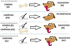 El origen conductual