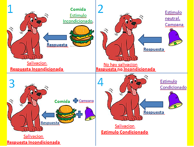 Procesos en el Aprendizaje por Condicionamiento Clásico