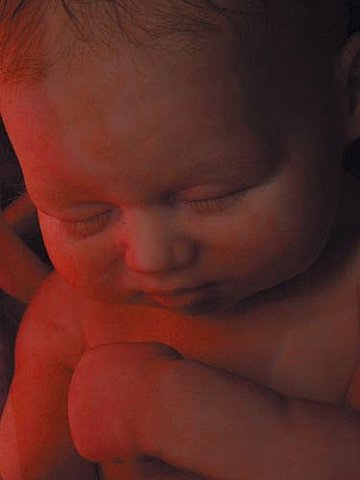 40 semanas de embarazo