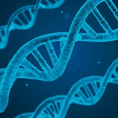 Timeline: Historia de la Biología