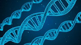 Timeline: Historia de la Biología