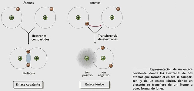 Alexander Oparin y John Haldane