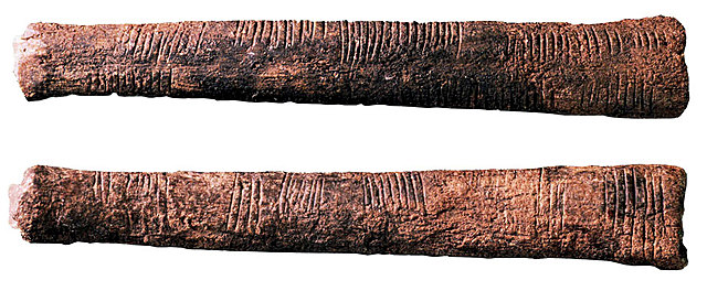 The Ishango Bone