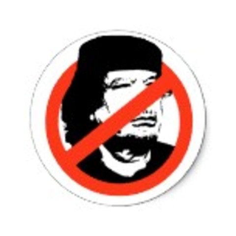 Anti-Quadaffi Campaign Begins (Political)