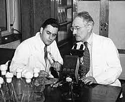 Descubrimiento de la estreptomicina