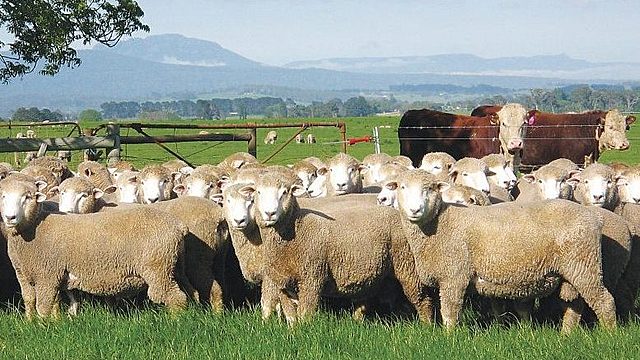 Crecimiento de la agricultura.