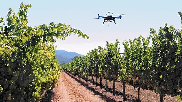 Drones agricultores