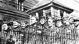 o exército vermelho libertam os prisioneiros do campo de concentração de Auschwitz.