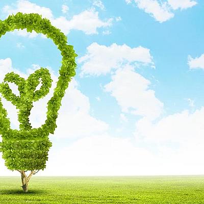 Timeline: Seguridad medio ambiental