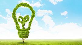 Timeline: Seguridad medio ambiental