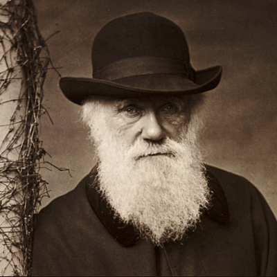 Timeline: Charles Darwin (February 12 1809 - April 19 1882)