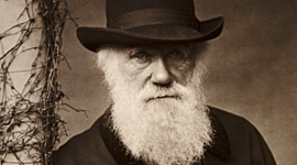 Timeline: Charles Darwin (February 12 1809 - April 19 1882)