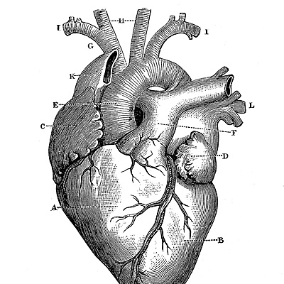 Timeline: History Of Medicine- Cody Sorensen