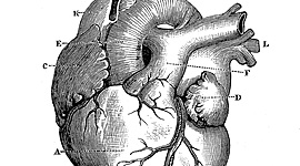 Timeline: History Of Medicine- Cody Sorensen