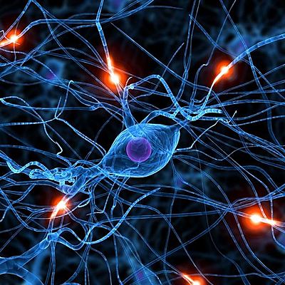 Timeline: Neuropsicología clínica
