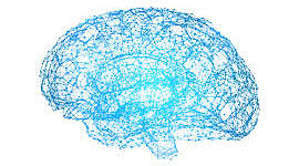 Timeline: Línea del tiempo "Neuropsicología clínica"