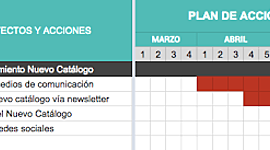 Timeline: Cronograma de las líneas de acción