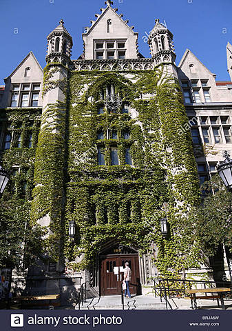 El primer programa universitario formal en la Universidad de  Chicago en EEUU
