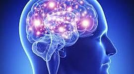 Timeline: Desarrollo histórico de la neuropsicología