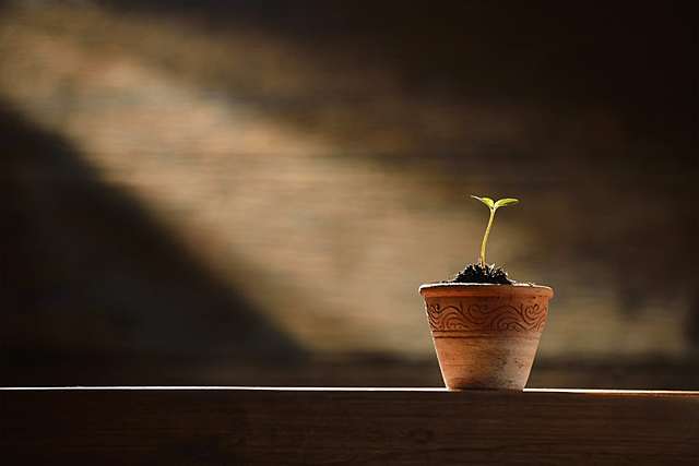 Primera referencia al efecto de un daño cerebral