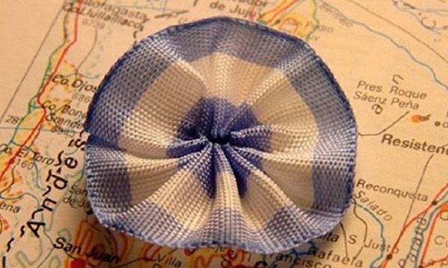 Asamblea del año XIII