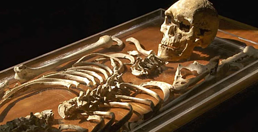 2000 BCE Narrabeen Man