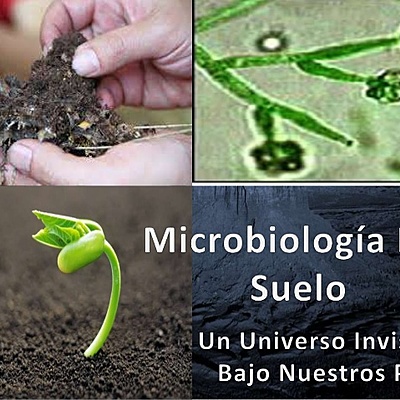 Timeline: Historia de la microbiología del suelo