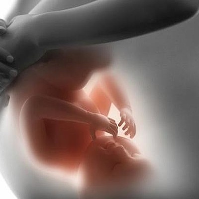 Timeline: Desarrollo Prenatal