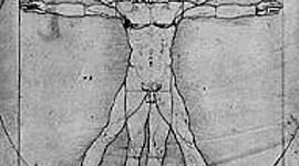 Timeline: Estado del arte de la antropologia