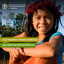 Reconocimiento en la Constitución del derecho de alimentación