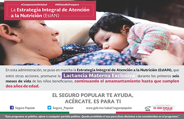 Estrategia Nacional de Lactancia Materna (ENLM)