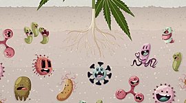 Timeline: Historia de la Microbiología del Suelo