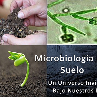 Timeline: Historia de la Microbiología Agrícola (Suelo)