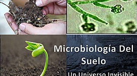 Timeline: Historia de la Microbiología Agrícola (Suelo)
