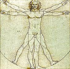 Humanismo Renacentista