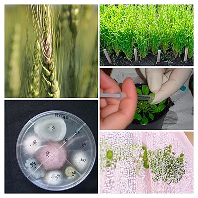 Timeline: Microbiología de los suelos