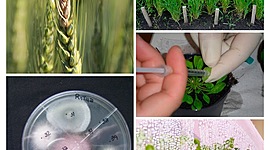 Timeline: Microbiología de los suelos